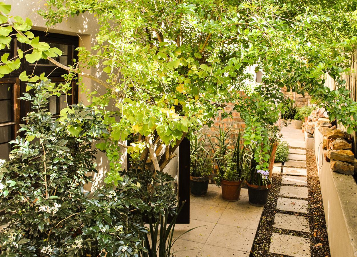 Wessels House Studio Cape Town Luaran gambar